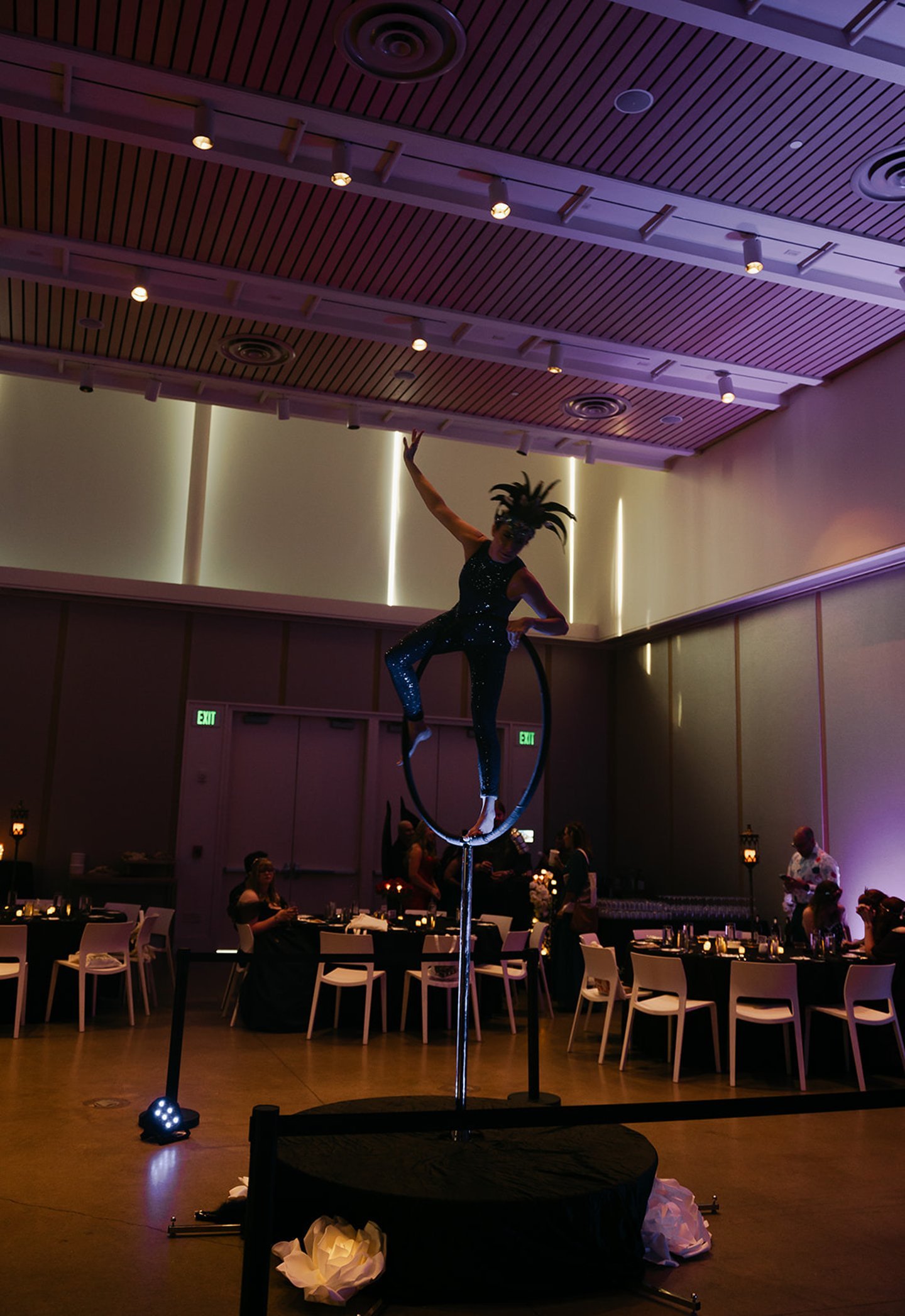 Aerial performer at The Night Court Ball